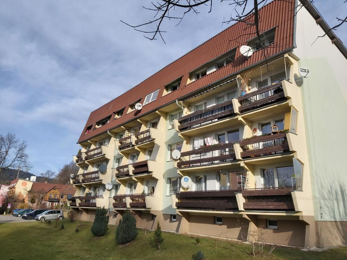 Viola Apartment