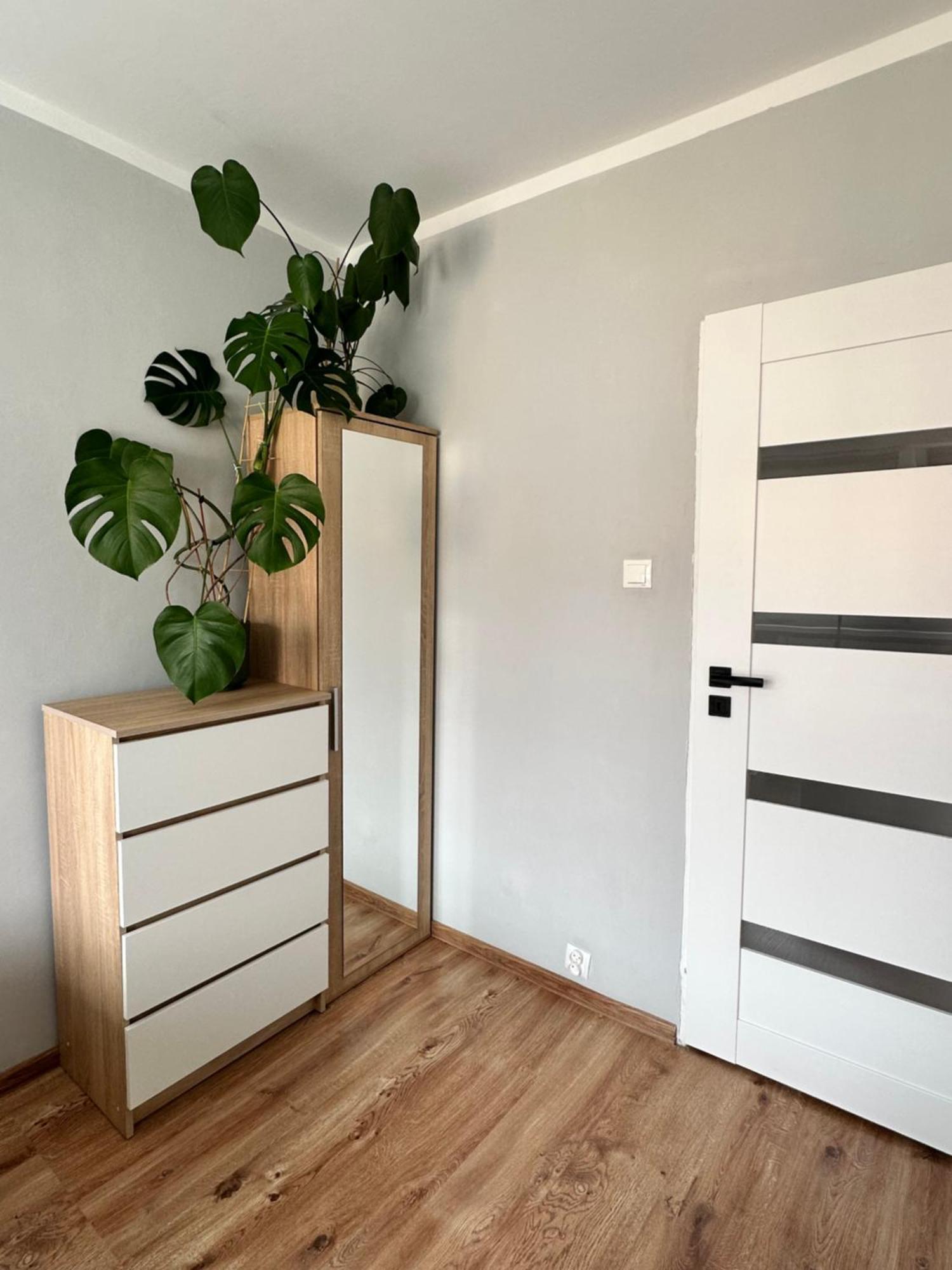 Apartment Viola
