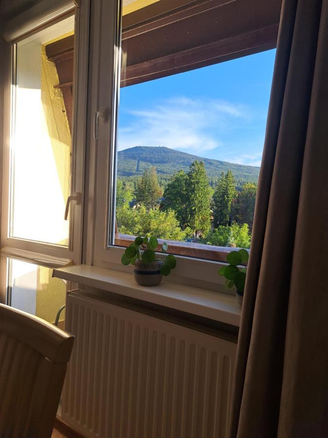 Viola Apartament